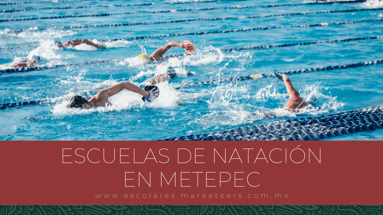 Escuelas De Natación En Metepec